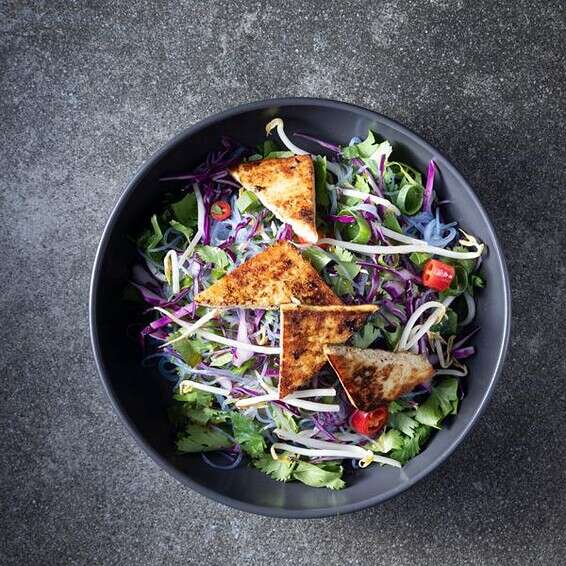 גו נודלס // צילום: דניאל לילה